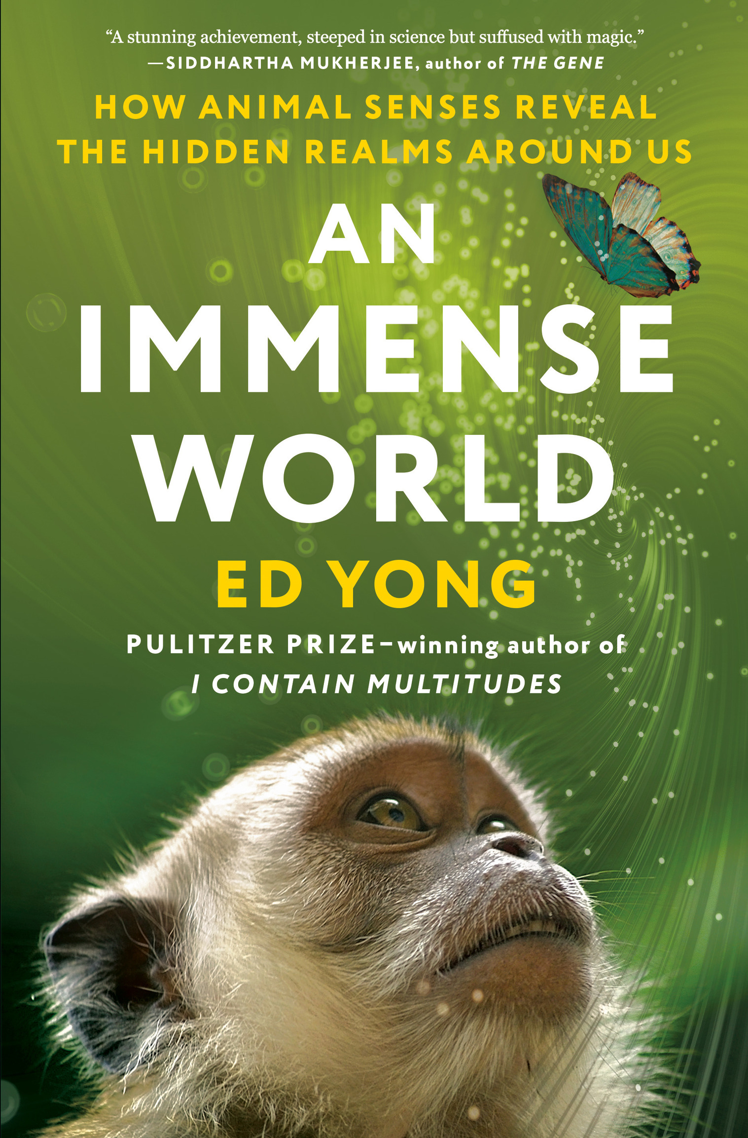 Immense World : How Animal Senses Reveal the Hidden Realms Around Us (9780593133248)